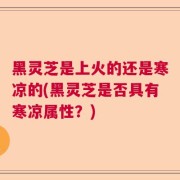 黑灵芝是上火的还是寒凉的(黑灵芝是否具有寒凉属性?)