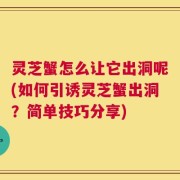 灵芝蟹怎么让它出洞呢(如何引诱灵芝蟹出洞？简单技巧分享)