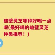 破壁灵芝哪种好喝一点呢(最好喝的破壁灵芝种类推荐！)