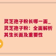 灵芝孢子粉长哪一面_灵芝孢子粉：全面解析其生长面及重要性