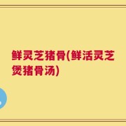 鲜灵芝猪骨(鲜活灵芝煲猪骨汤)