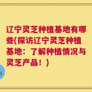 辽宁灵芝种植基地有哪些(探访辽宁灵芝种植基地：了解种植情况与灵芝产品！)