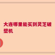 大连哪里能买到灵芝破壁机