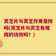 灵芝片与灵芝作用是样吗(灵芝片与灵芝有相同的功效吗？)