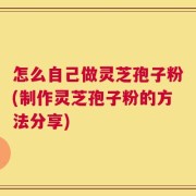 怎么自己做灵芝孢子粉(制作灵芝孢子粉的方法分享)