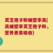 灵芝孢子粉破壁率高(高破壁率灵芝孢子粉，营养更易吸收)