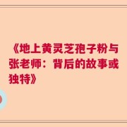 《地上黄灵芝孢子粉与张老师：背后的故事或独特》