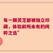 每一颗灵芝都被独立珍藏，体验前所未有的纯粹之选”