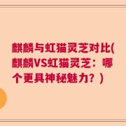 麒麟与虹猫灵芝对比(麒麟VS虹猫灵芝：哪个更具神秘魅力？)