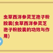 虫草西洋参灵芝孢子粉胶囊(虫草西洋参灵芝孢子粉胶囊的功效与作用)