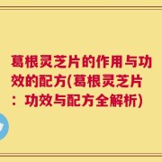 葛根灵芝片的作用与功效的配方(葛根灵芝片：功效与配方全解析)