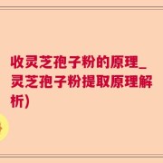 收灵芝孢子粉的原理_灵芝孢子粉提取原理解析)