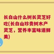 长白山什么树长灵芝好吃(长白山珍贵树木产灵芝，营养丰富味道鲜美)
