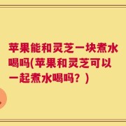 苹果能和灵芝一块煮水喝吗(苹果和灵芝可以一起煮水喝吗？)