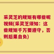 采灵芝的规矩有哪些呢视频(采灵芝须知：这些规矩千万要遵守，否则后果自负)