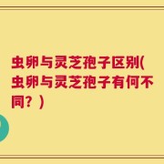 虫卵与灵芝孢子区别(虫卵与灵芝孢子有何不同？)