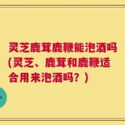 灵芝鹿茸鹿鞭能泡酒吗(灵芝、鹿茸和鹿鞭适合用来泡酒吗？)