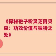 《探秘孢子粉灵芝因贝森：功效价值与独特之处》