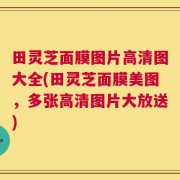 田灵芝面膜图片高清图大全(田灵芝面膜美图，多张高清图片大放送)