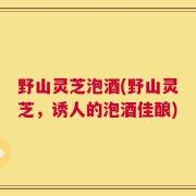 野山灵芝泡酒(野山灵芝，诱人的泡酒佳酿)