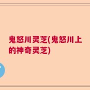 鬼怒川灵芝(鬼怒川上的神奇灵芝)