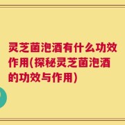 灵芝菌泡酒有什么功效作用(探秘灵芝菌泡酒的功效与作用)