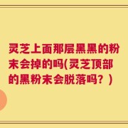 灵芝上面那层黑黑的粉末会掉的吗(灵芝顶部的黑粉末会脱落吗？)