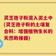 灵芝孢子粉混入泥土中(灵芝孢子粉的土壤复合料：增强植物生长的天然助推器)
