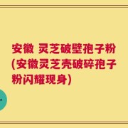 安徽 灵芝破壁孢子粉(安徽灵芝壳破碎孢子粉闪耀现身)