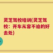 灵芝驾校培训(灵芝驾校：开车从容不迫的好去处)