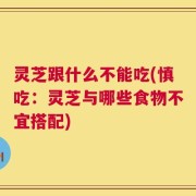 灵芝跟什么不能吃(慎吃：灵芝与哪些食物不宜搭配)