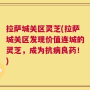 拉萨城关区灵芝(拉萨城关区发现价值连城的灵芝，成为抗病良药！)