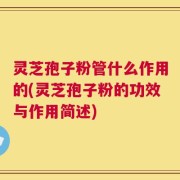 灵芝孢子粉管什么作用的(灵芝孢子粉的功效与作用简述)
