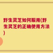 野生灵芝如何服用(野生灵芝的正确使用方法)