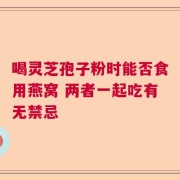 喝灵芝孢子粉时能否食用燕窝 两者一起吃有无禁忌