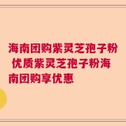 海南团购紫灵芝孢子粉 优质紫灵芝孢子粉海南团购享优惠