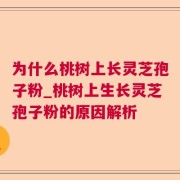 为什么桃树上长灵芝孢子粉_桃树上生长灵芝孢子粉的原因解析