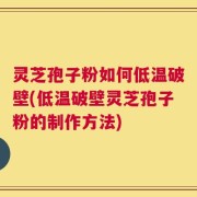 灵芝孢子粉如何低温破壁(低温破壁灵芝孢子粉的制作方法)