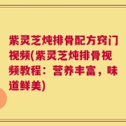 紫灵芝炖排骨配方窍门视频(紫灵芝炖排骨视频教程：营养丰富，味道鲜美)