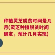 种植灵芝脱贫时间是几月(灵芝种植脱贫时间确定，预计几月实现)