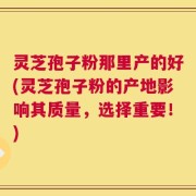 灵芝孢子粉那里产的好(灵芝孢子粉的产地影响其质量，选择重要！)