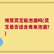 观赏灵芝能泡酒吗(灵芝是否适合用来泡酒？)