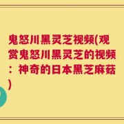 鬼怒川黑灵芝视频(观赏鬼怒川黑灵芝的视频：神奇的日本黑芝麻菇)
