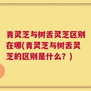 青灵芝与树舌灵芝区别在哪(青灵芝与树舌灵芝的区别是什么？)