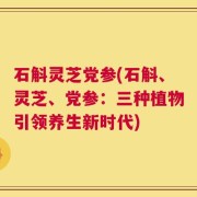 石斛灵芝党参(石斛、灵芝、党参：三种植物引领养生新时代)