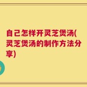 自己怎样开灵芝煲汤(灵芝煲汤的制作方法分享)
