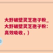 大野破壁灵芝孢子粉_大野破壁灵芝孢子粉：高效吸收，)