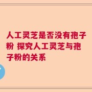 人工灵芝是否没有孢子粉 探究人工灵芝与孢子粉的关系