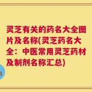 灵芝有关的药名大全图片及名称(灵芝药名大全：中医常用灵芝药材及制剂名称汇总)
