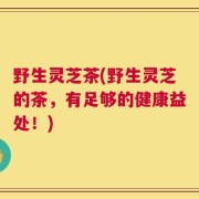 野生灵芝茶(野生灵芝的茶，有足够的健康益处！)